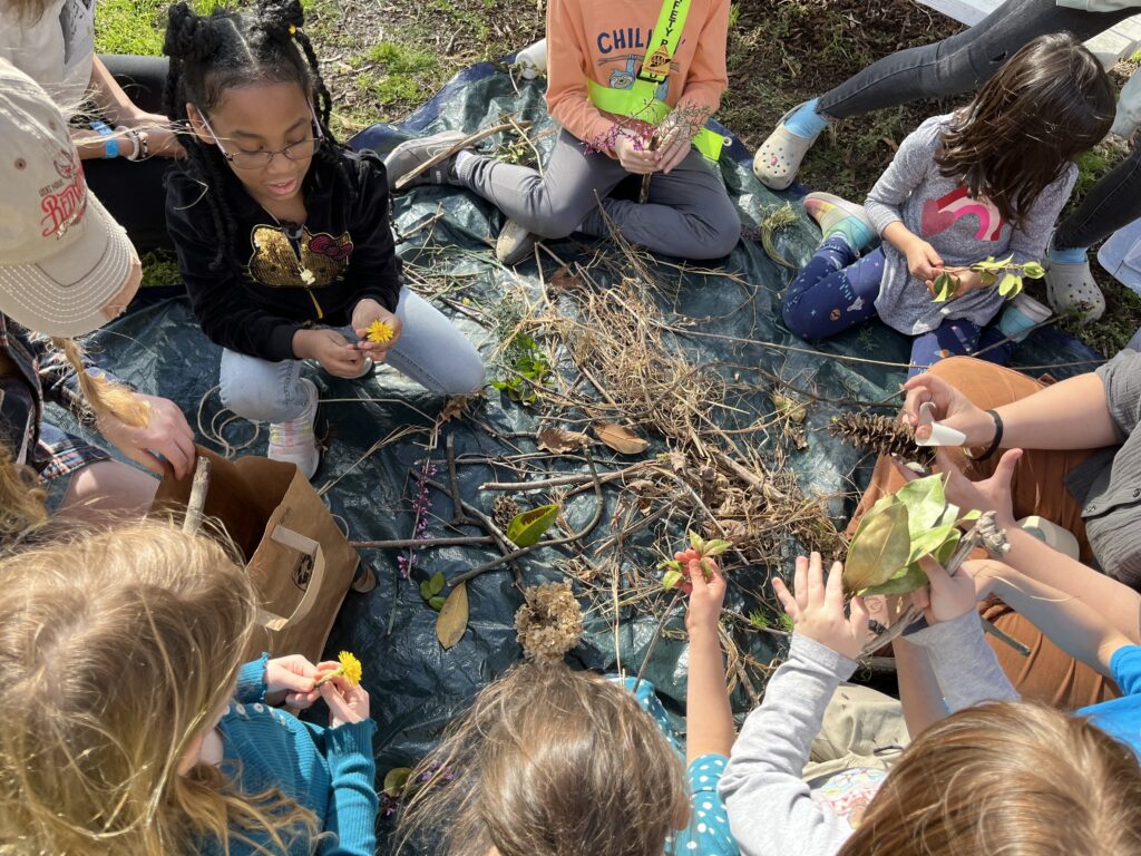 Open Space Education