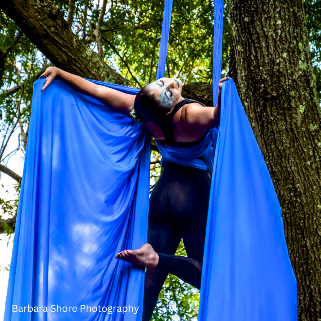 Host of Sparrows Aerial Circus